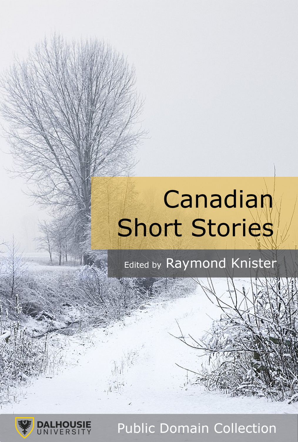 Cover image for Canadian Short Stories